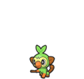 Grookey