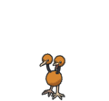 Doduo