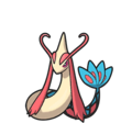 Milotic