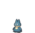 Munchlax