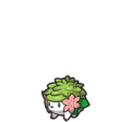 Shaymin (Land Forme)