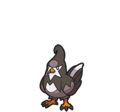 Staravia