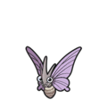 Venomoth