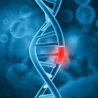 El 'reparoma humano', un catálogo de cicatrices en el ADN