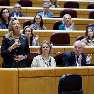 ¿Qué son los conflictos de atribuciones del Senado?