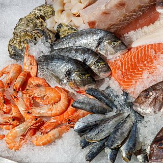 Promover el consumo de pescados y mariscos