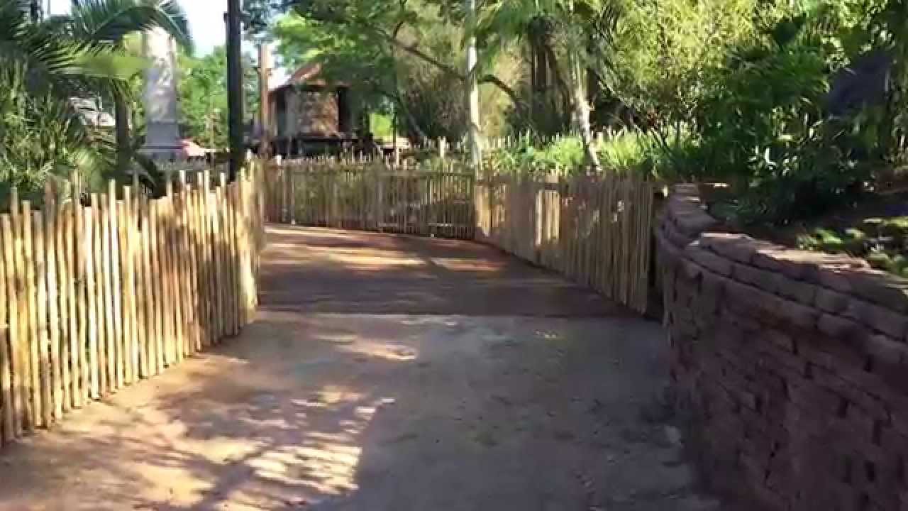 New Asia walkway at Disney's Animal Kingdom