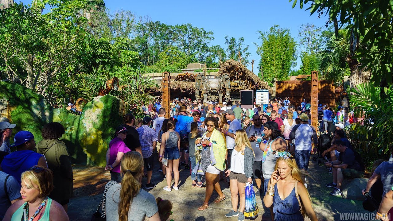 Opening day crowds at Pandora - The World of Avatar