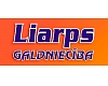 Liarps, SIA, Galdniecība