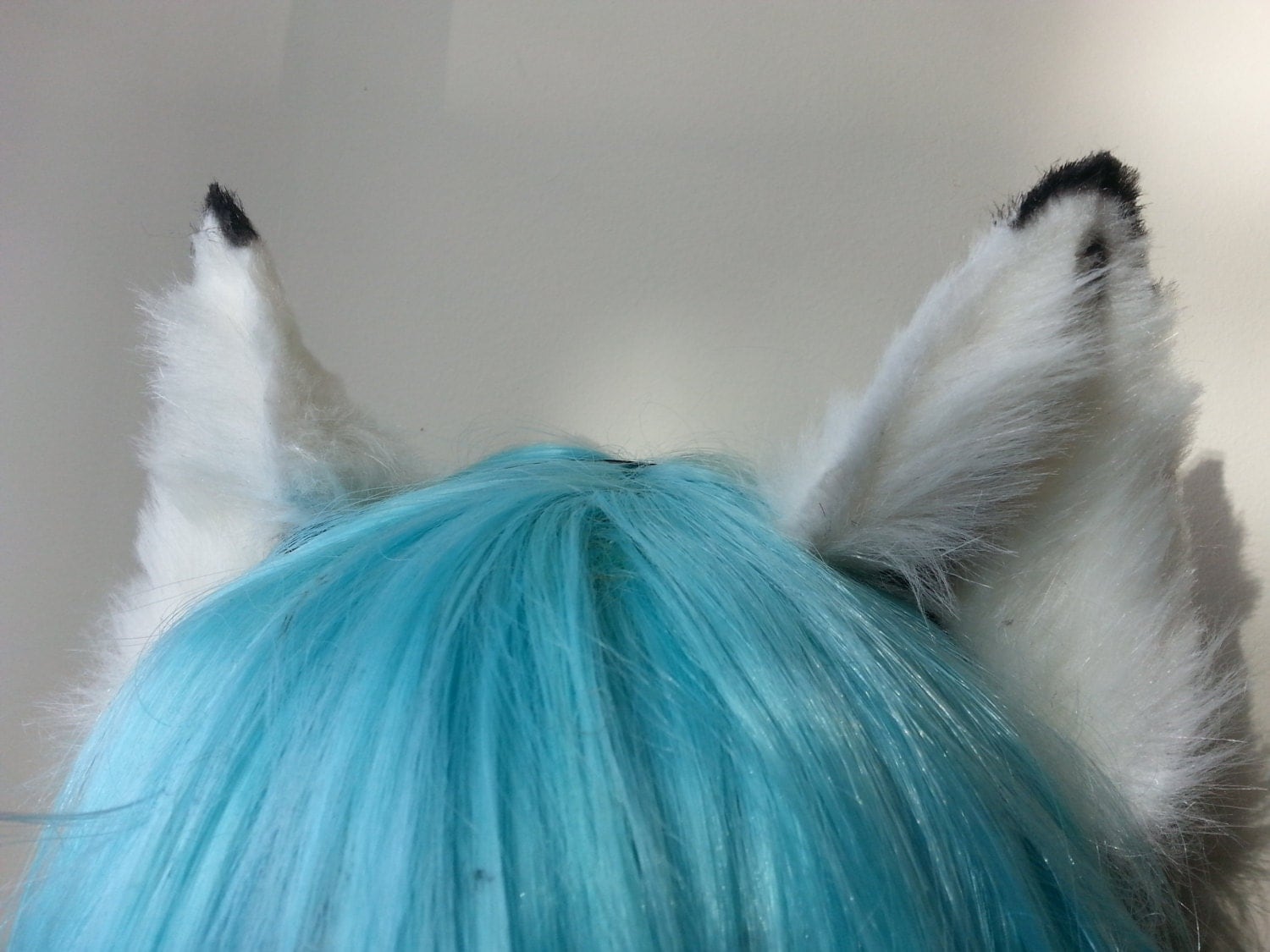 arctic fox ears