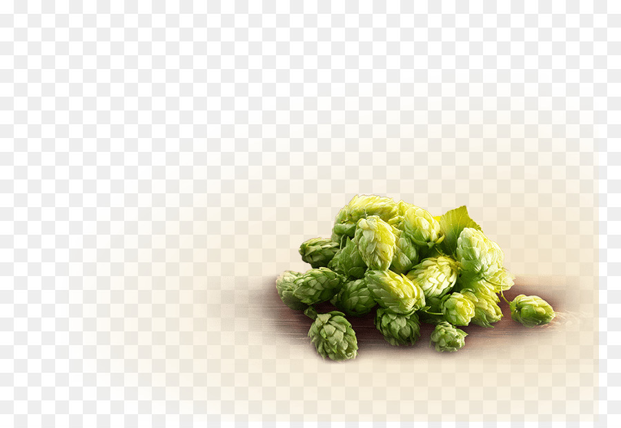 فريبرغ，Freiberger Brauhaus PNG