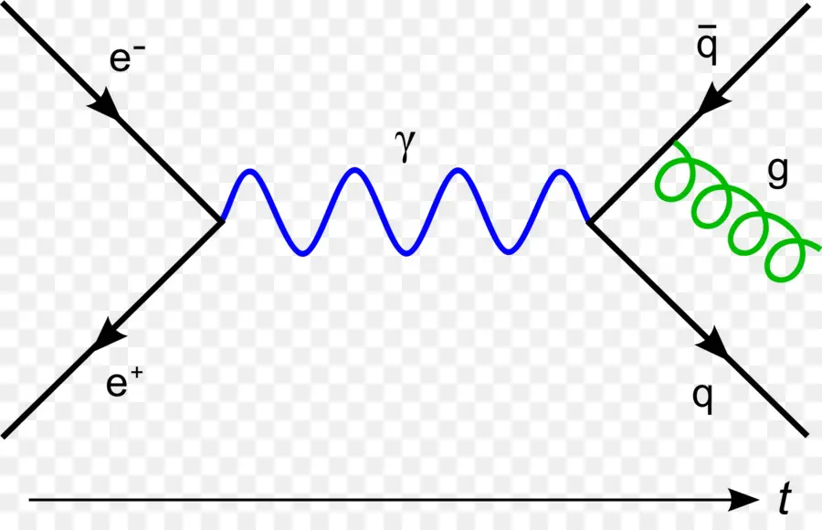 مخطط فاينمان，فيزياء الجسيمات PNG
