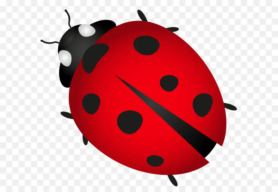 Coccinelle，Taches PNG