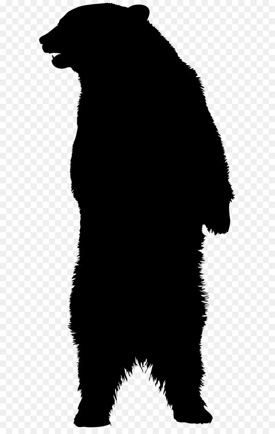 Silhouette D'ours Debout，Ours PNG