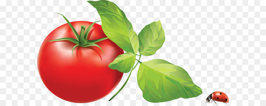 Tomates Rouges，Feuilles Vertes PNG