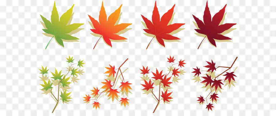 Feuilles D'érable，Automne PNG