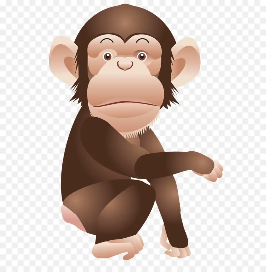 Singe，Chimpanzé PNG