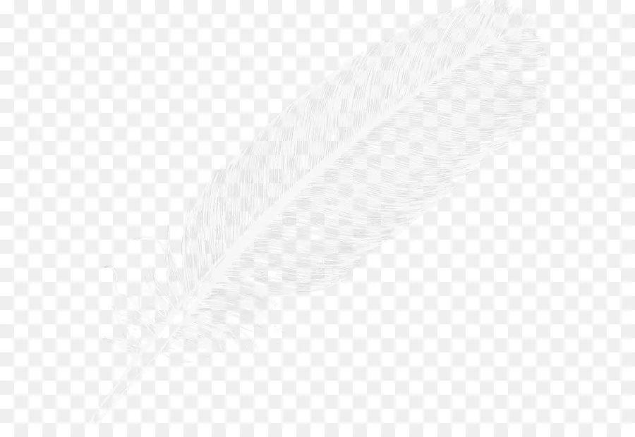 Plume，Blanc PNG