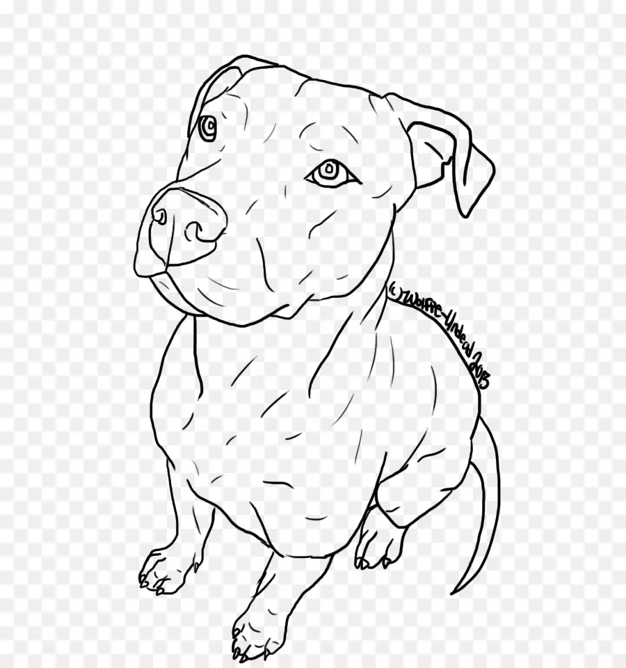 Chien，Animal De Compagnie PNG