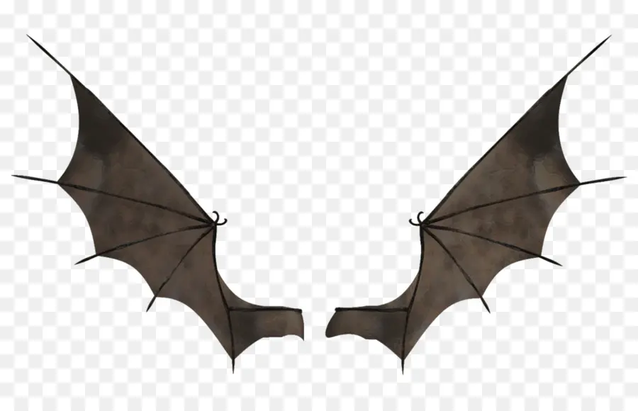 Ailes De Chauve Souris，Halloween PNG