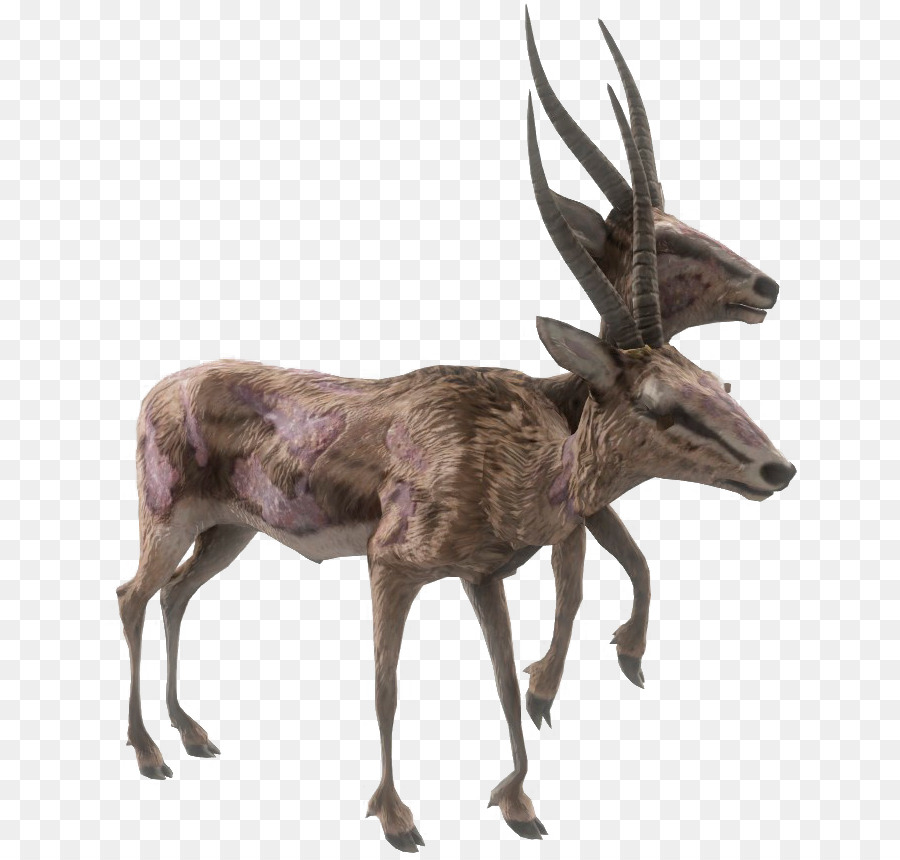 Cerf à Deux Têtes，Bois PNG