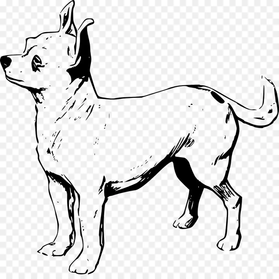 Chien，Animal De Compagnie PNG