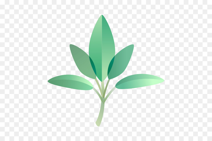 Feuille，Usine PNG