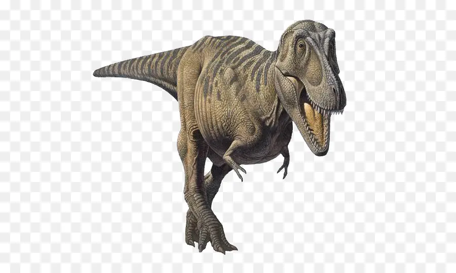 T Rex，Dents PNG