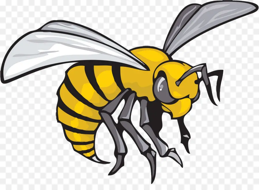 Abeille，Ailes PNG