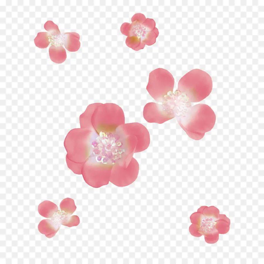 Fleurs Roses，Fleurs PNG