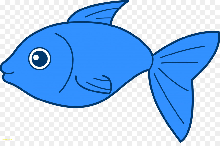 Poisson Bleu，Aquatique PNG