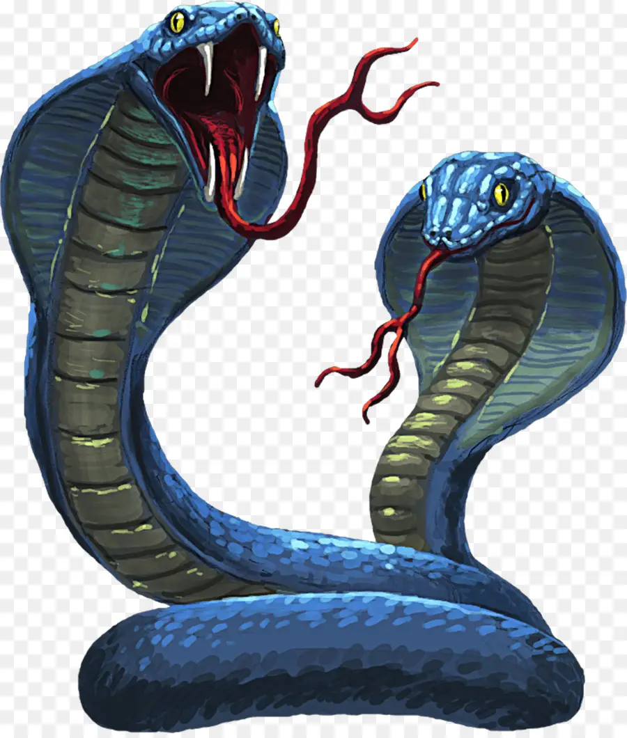 Deux Cobras，Serpents PNG