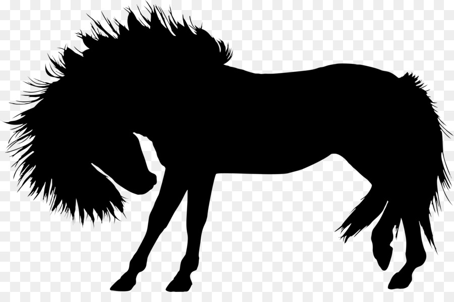 Silhouette De Cheval，Équin PNG