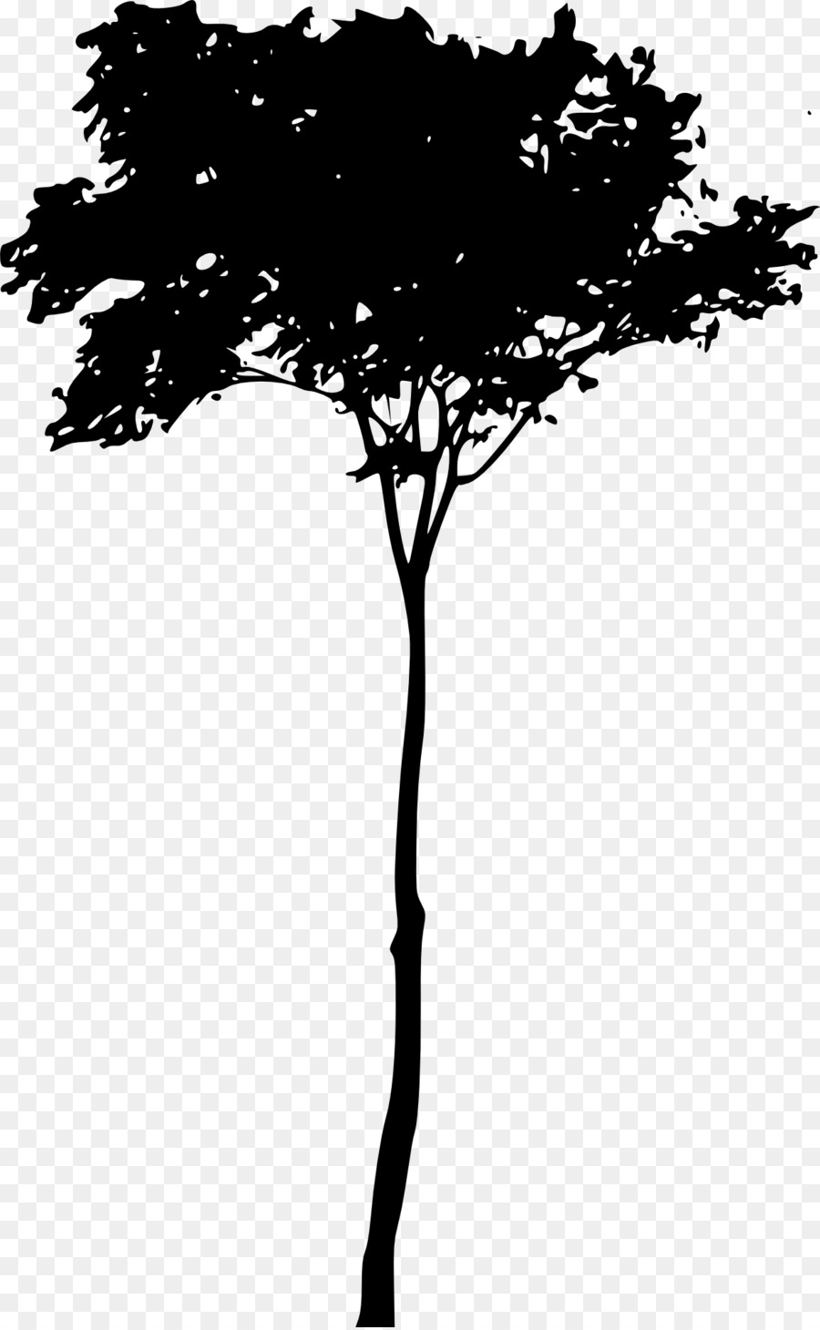 Arbre Nu，Bifurquer PNG