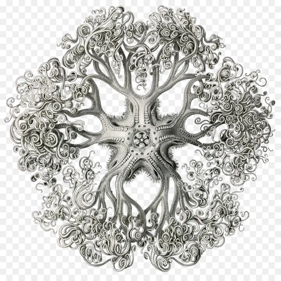 Conception D'arbre Complexe，Nature PNG