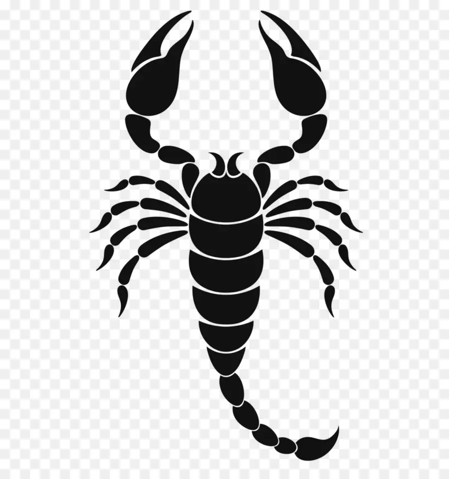 Scorpion，Silhouette PNG