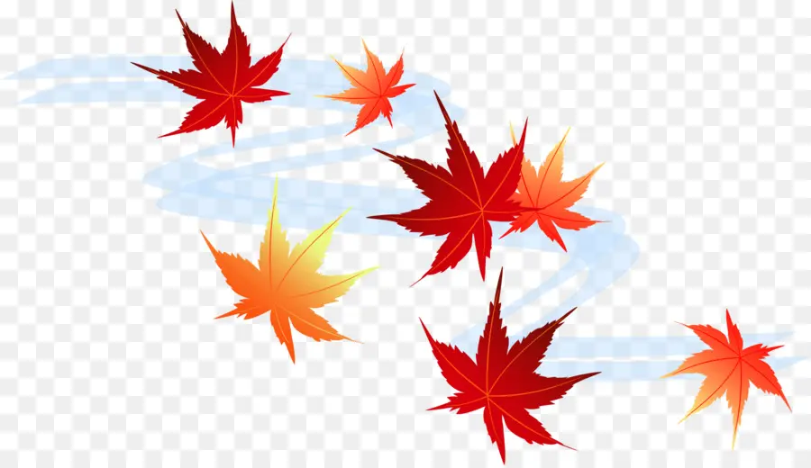 Feuilles D'automne，Automne PNG