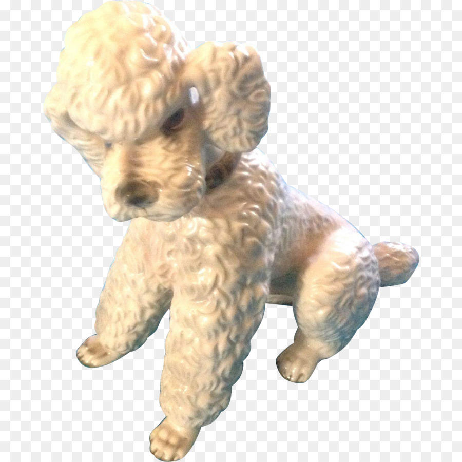 Caniche，Caniche Toy PNG