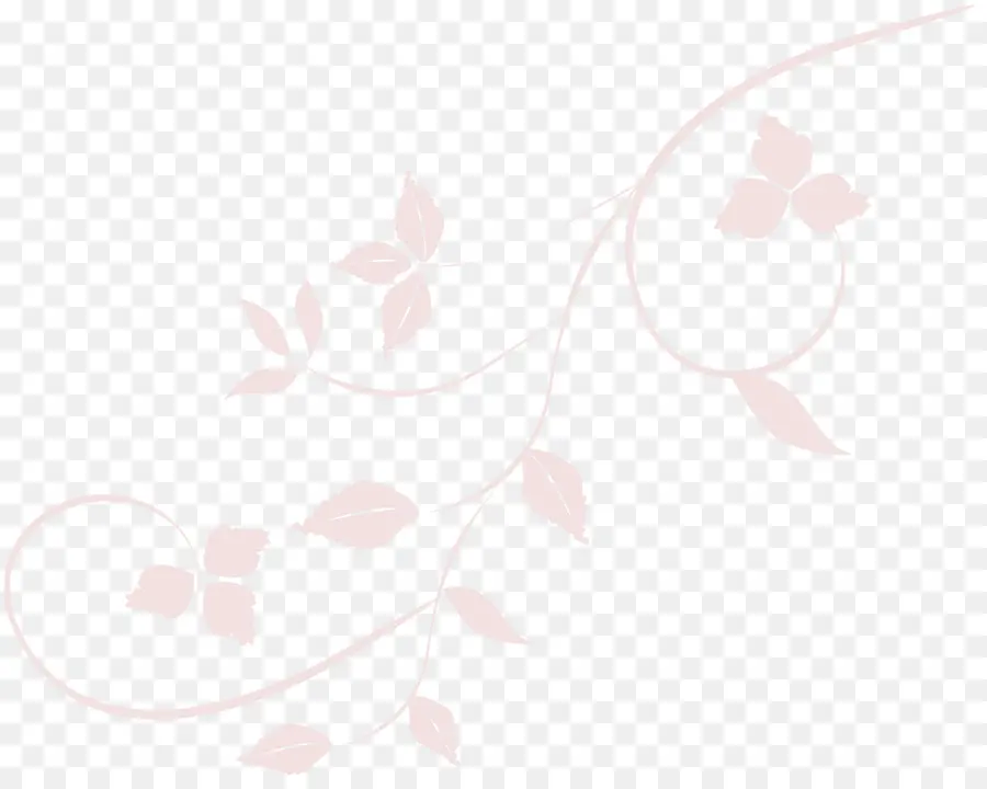 Bordure Florale，Fleurs PNG