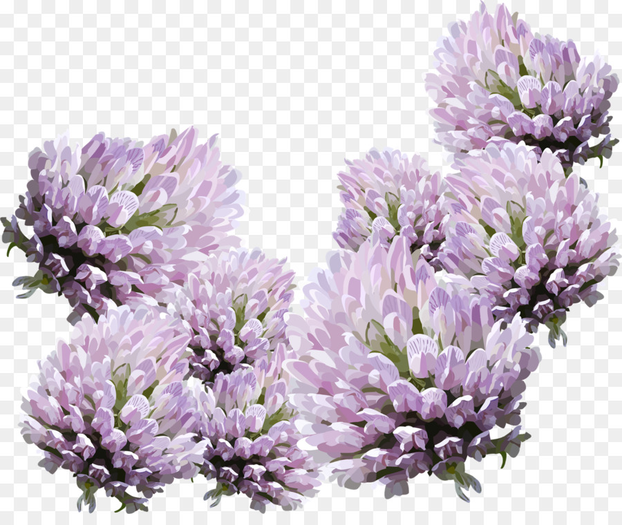 Fleurs Violettes，Fleurir PNG