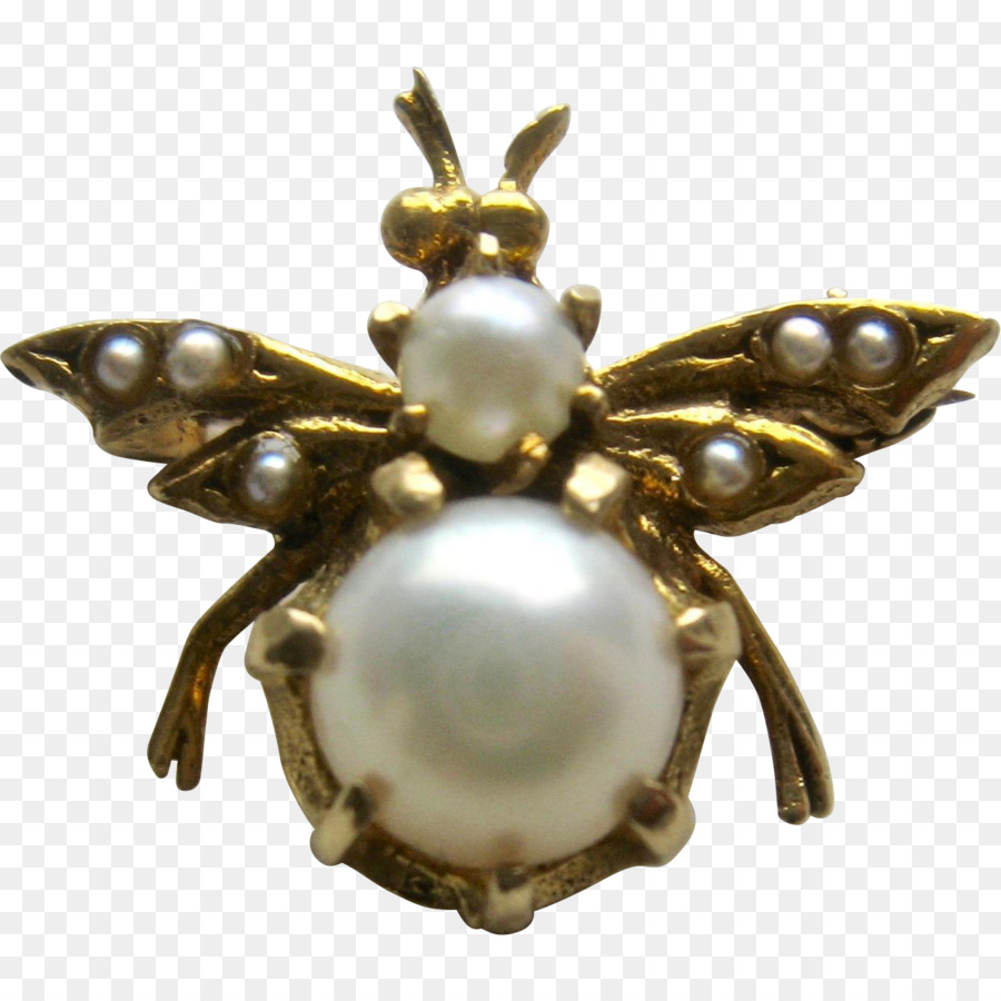 Les Insectes，Broche PNG