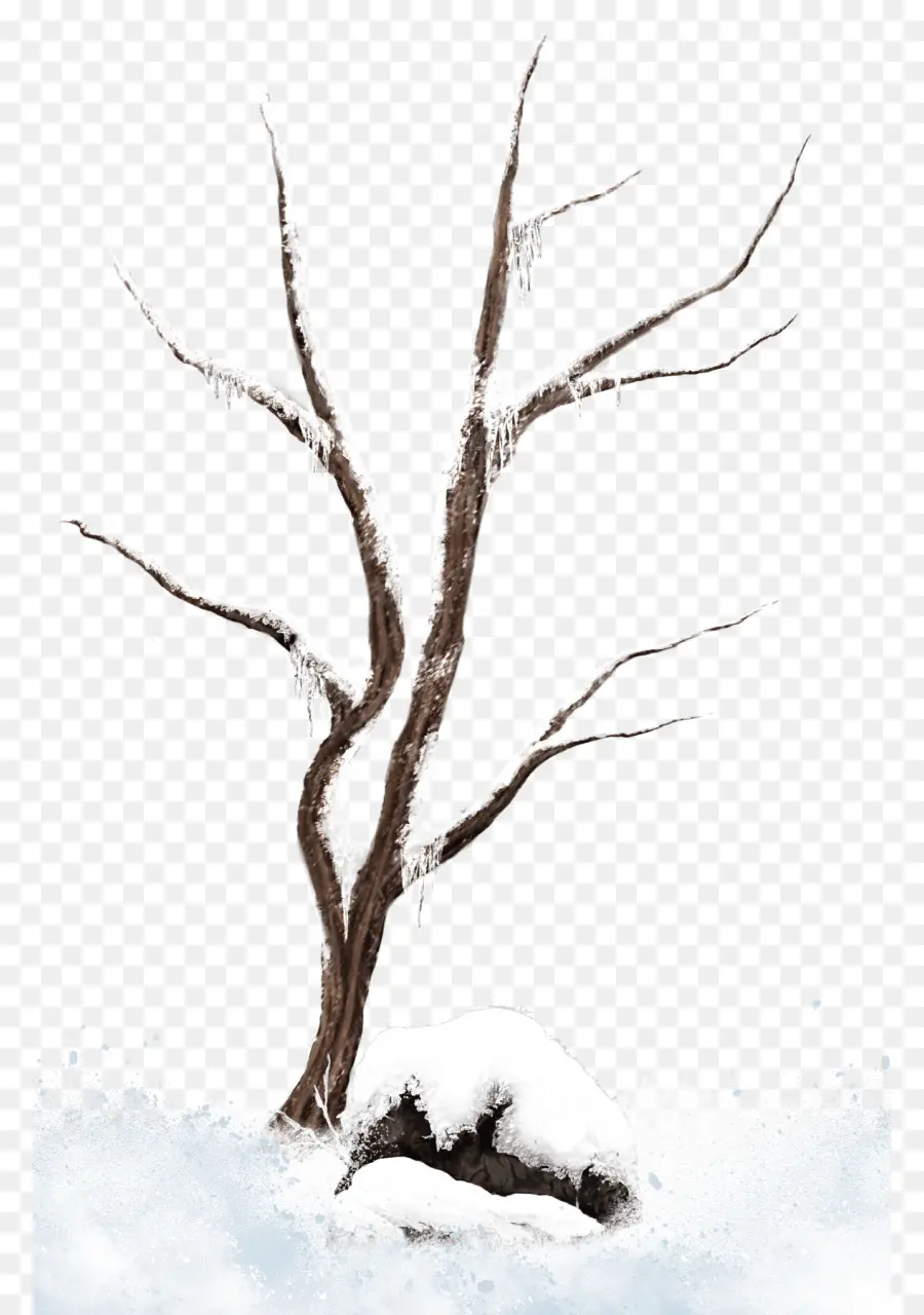 Arbre D'hiver，Neige PNG