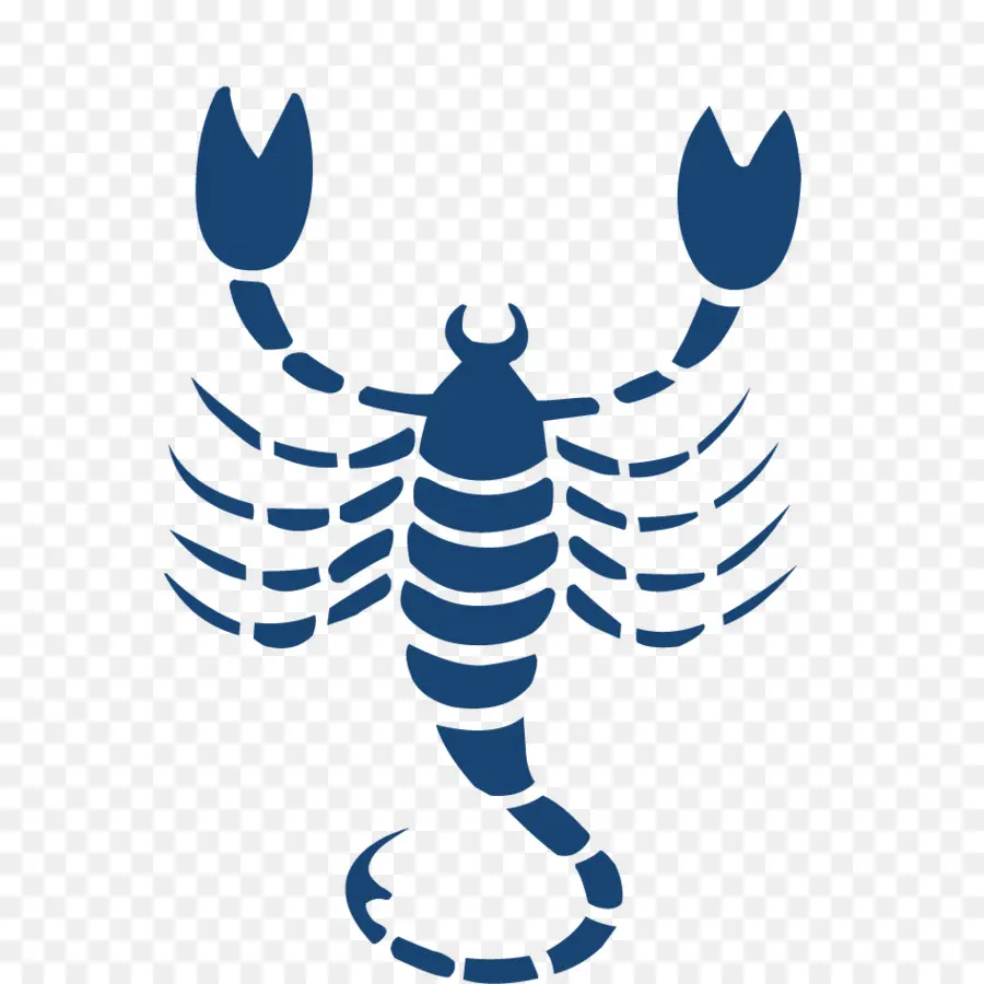 Scorpion，Insecte PNG