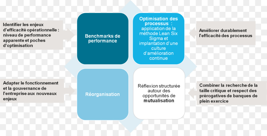 Organisation，Processus PNG