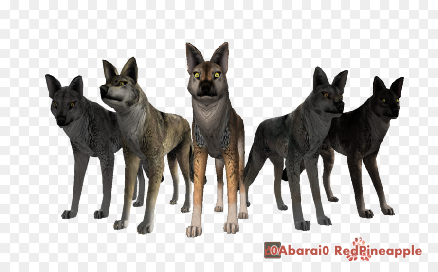 Wolfquest，Loup Gris PNG