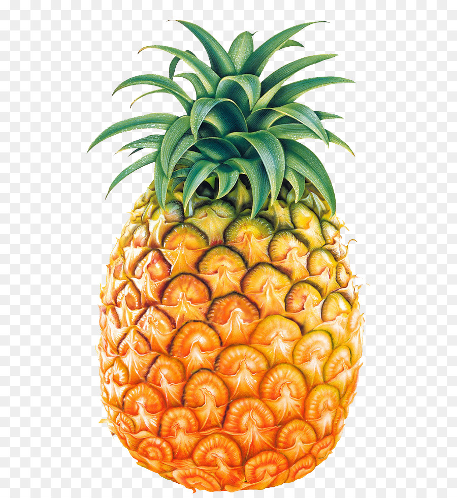 Ananas，Tropical PNG