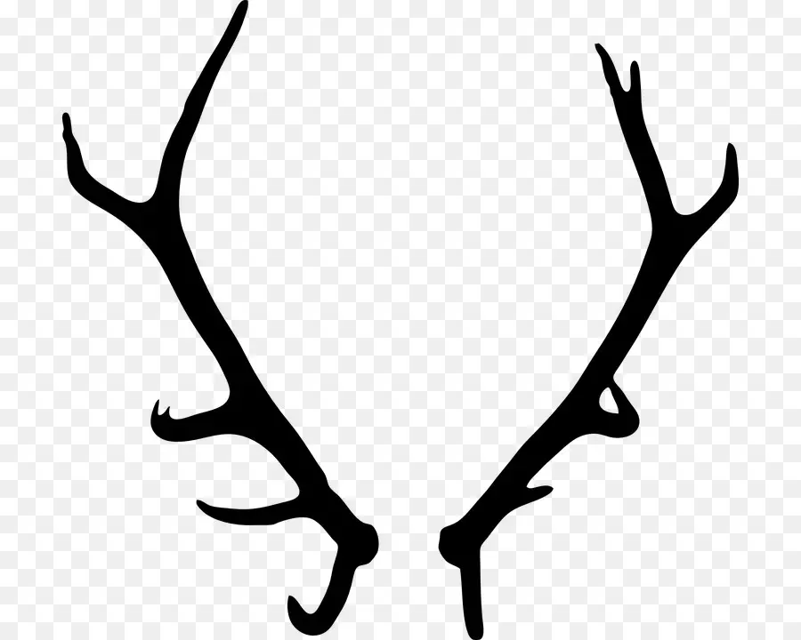 Bois，Cerf PNG