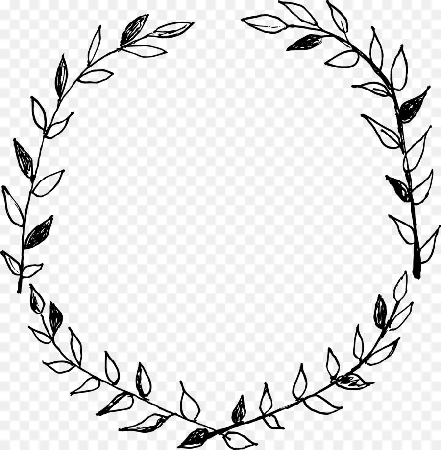 Couronne De Laurier，Feuilles PNG