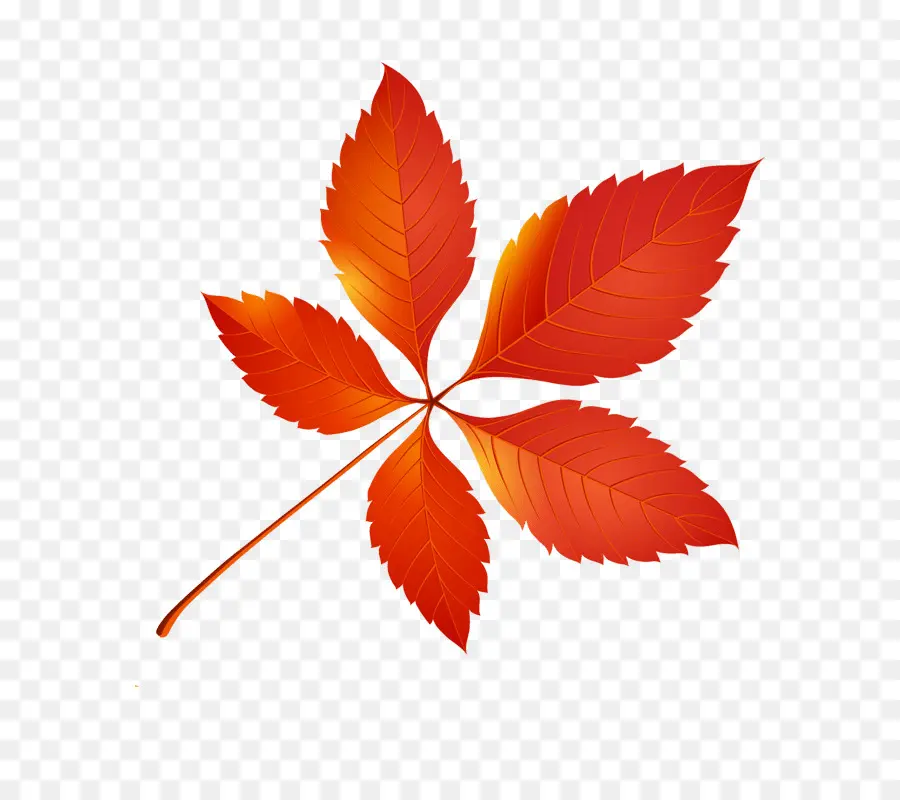 Feuille，Automne PNG