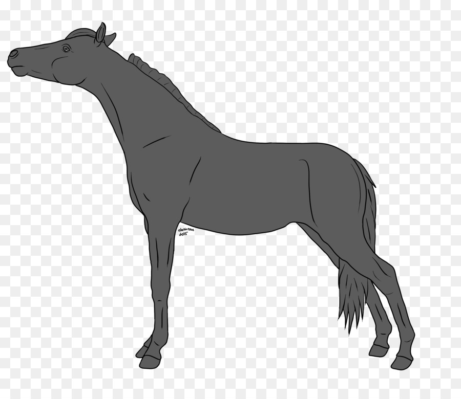 Cheval，équidé PNG